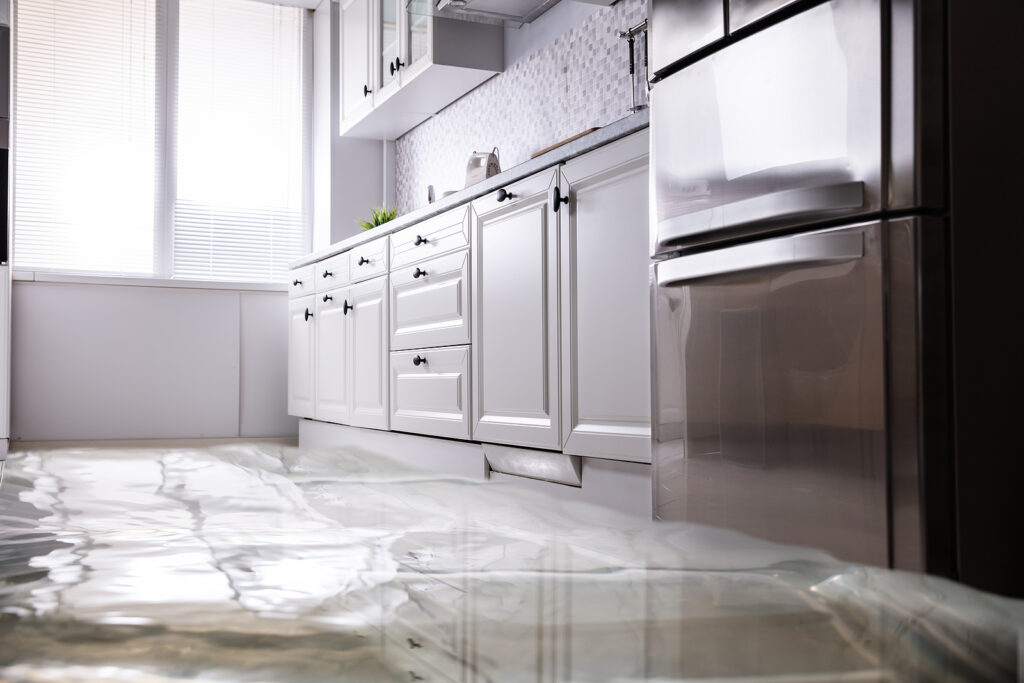 Close up of flooded floor in kitchen from water leak